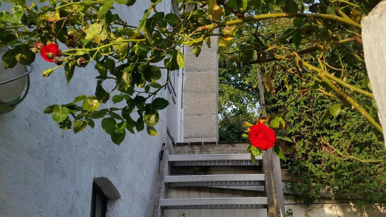 Ferie Lejligheden Landlyst Apartment Rodvig Exterior photo